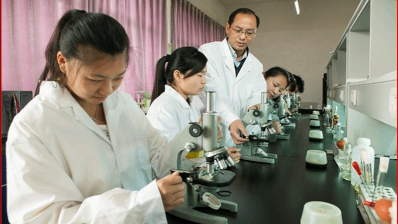 中药饮片加盟店：利润分析背后的行业逻辑