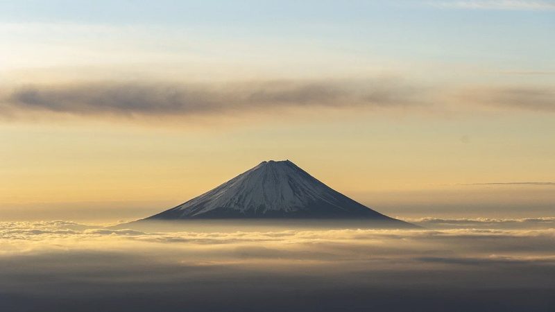 药品经营许可证与GSP认证：区别与解读