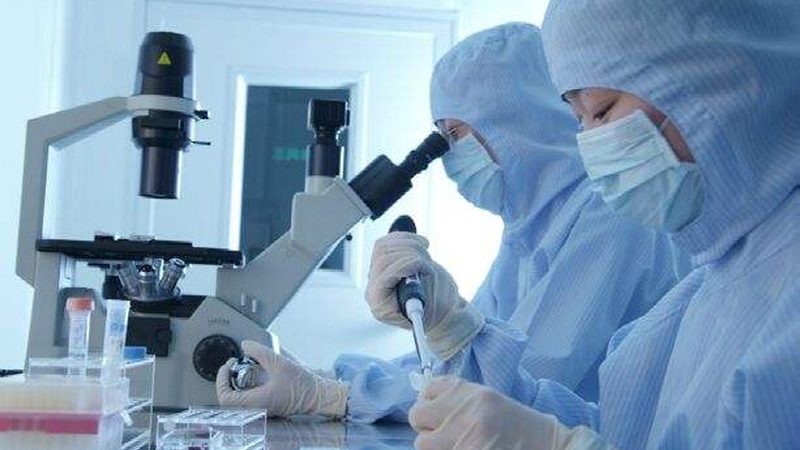 北京GMP认证与ISO22000：揭秘两者间的关键区别