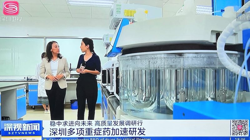上海空心胶囊批发价格：揭秘其背后的市场逻辑
